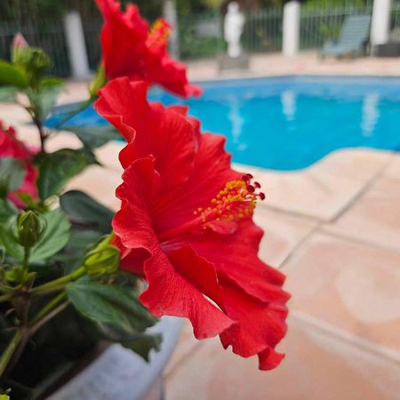 Les Jardins Du Patriarche Hotel Agde Dış mekan fotoğraf