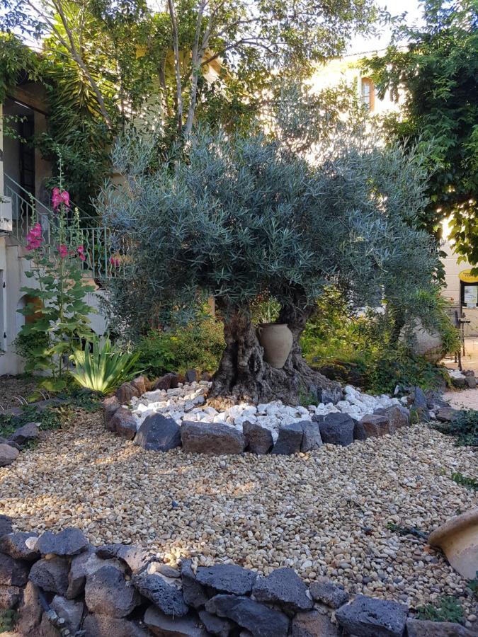 Les Jardins Du Patriarche Hotel Agde Dış mekan fotoğraf