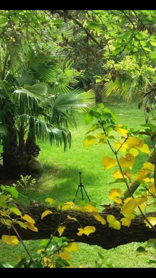Les Jardins Du Patriarche Hotel Agde Dış mekan fotoğraf