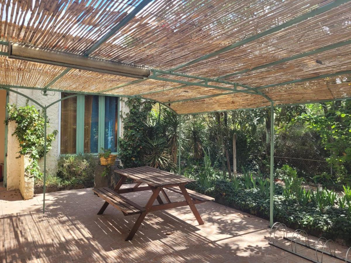 Les Jardins Du Patriarche Hotel Agde Dış mekan fotoğraf
