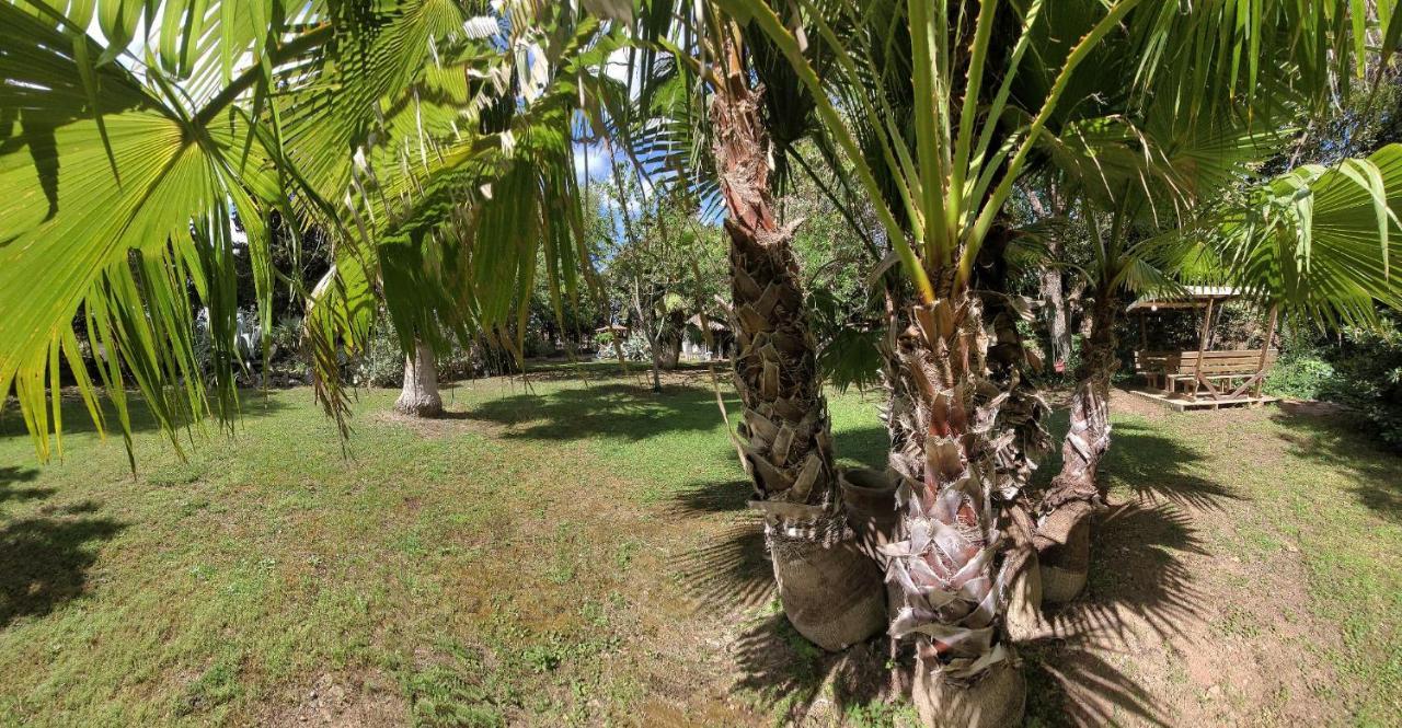 Les Jardins Du Patriarche Hotel Agde Dış mekan fotoğraf