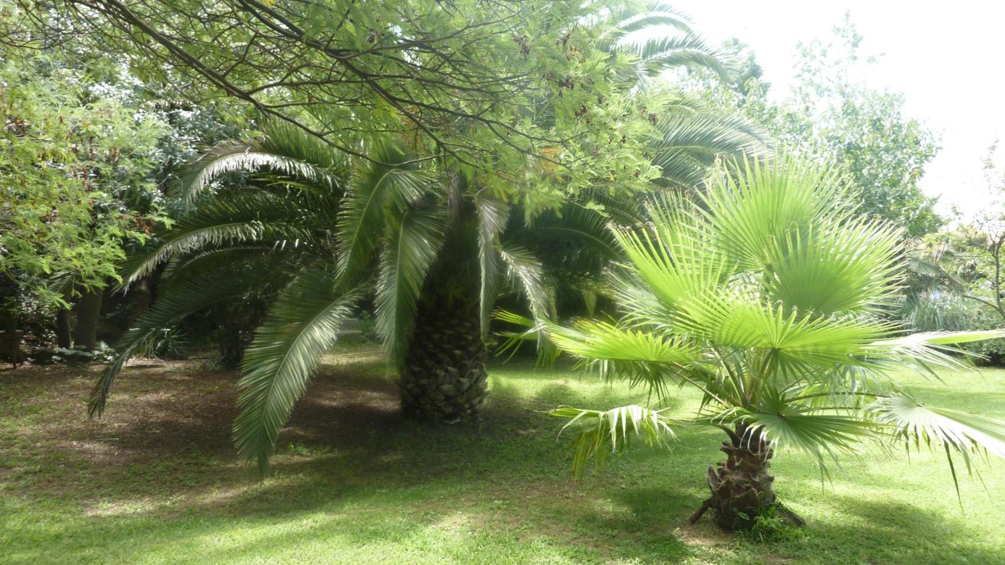 Les Jardins Du Patriarche Hotel Agde Dış mekan fotoğraf
