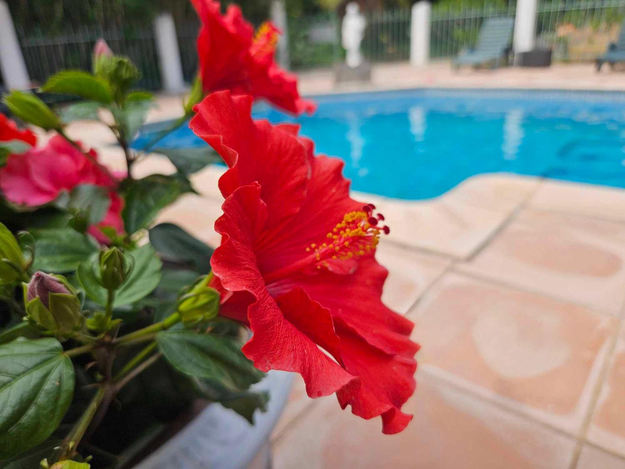 Les Jardins Du Patriarche Hotel Agde Dış mekan fotoğraf
