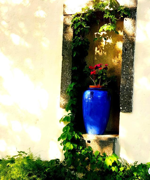 Les Jardins Du Patriarche Hotel Agde Dış mekan fotoğraf