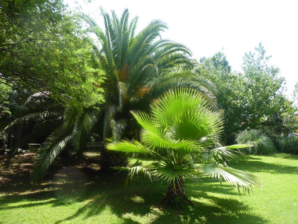 Les Jardins Du Patriarche Hotel Agde Dış mekan fotoğraf